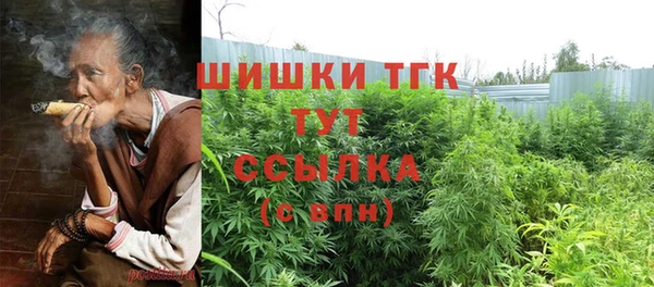 гашик Аркадак