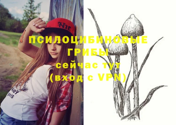 гашик Аркадак