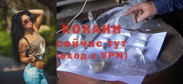 гашик Аркадак